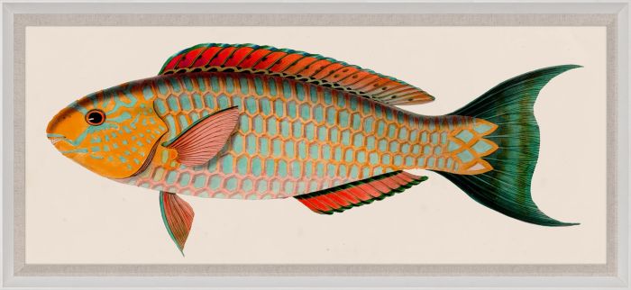 Bennet Fish 1 in Wood Frame