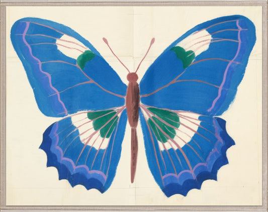 Cyril Hubbard Butterflies, 2 in Acrylic Box Frame